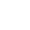 Lightbulb icon